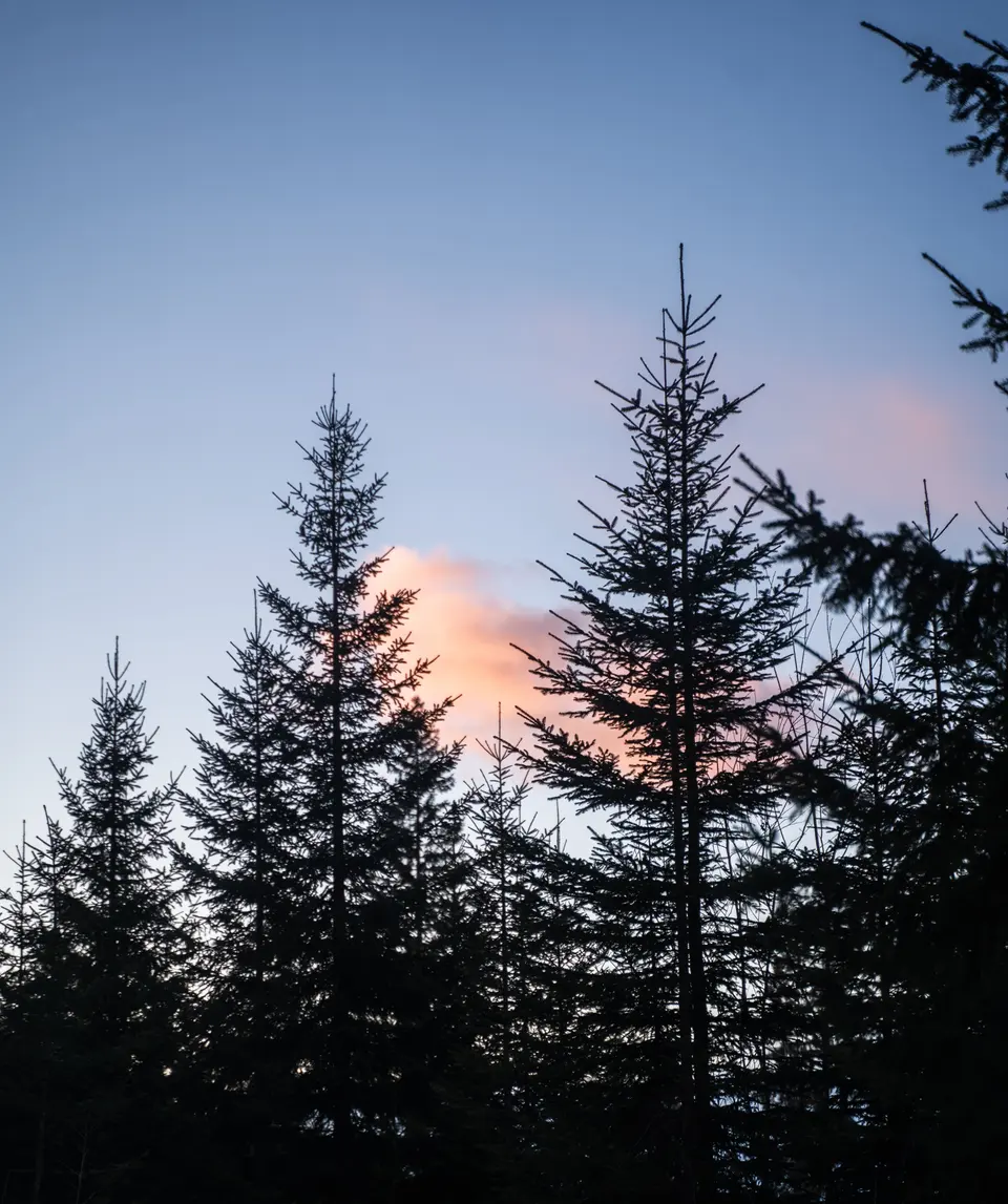 Landscapes, photograph 5 of 10