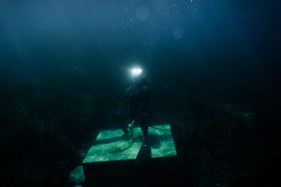 Underwater, photograph 1 of 11