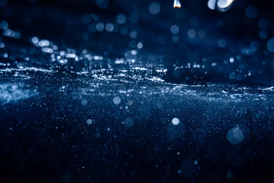 Underwater, photograph 4 of 11