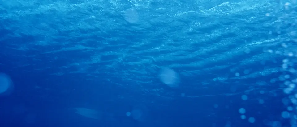 Lanzarote: waves, depths and dreams, still 19 of 33