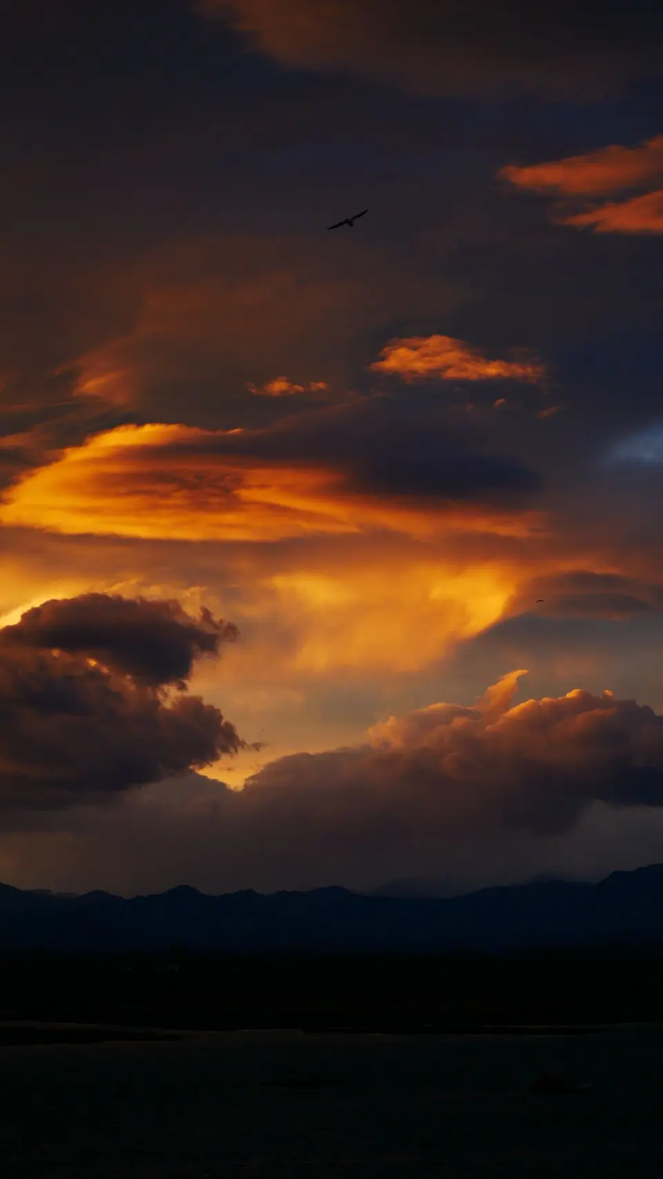Dramatic orange sunset clouds with a bird flying across the sky