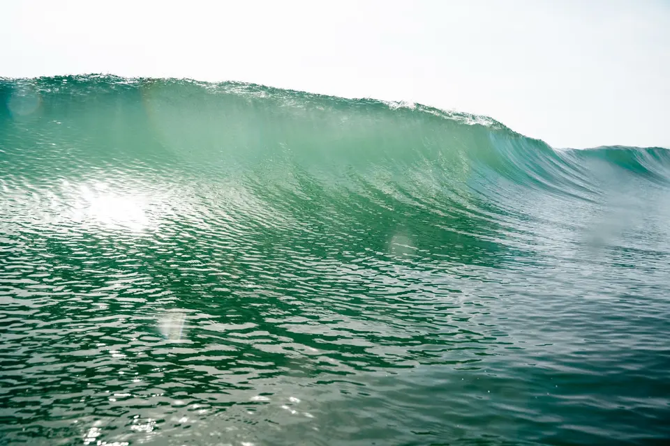 Close-up of a curling green wave lit from behind